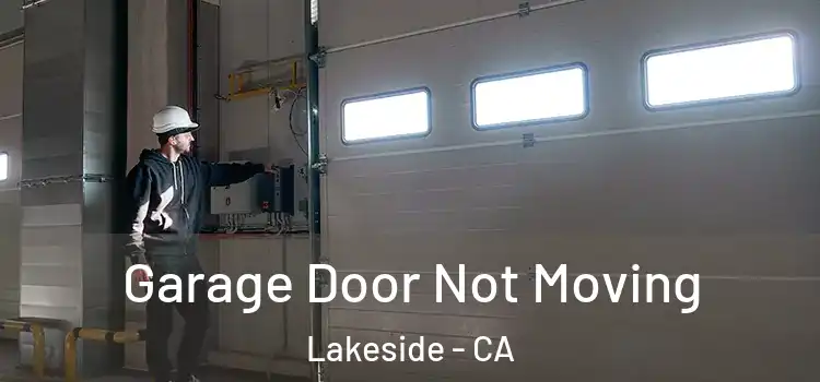  Garage Door Not Moving Lakeside - CA