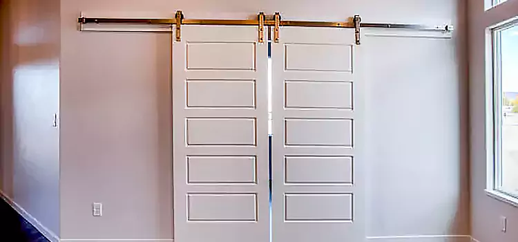 Glass Barn Door with Installation Hardware Kit Lakeside