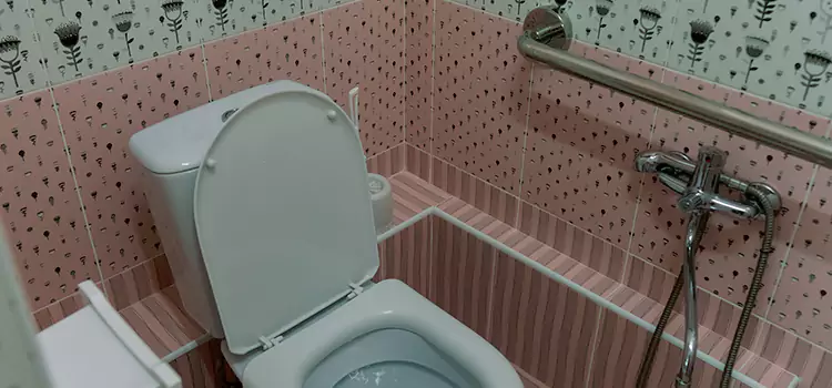 Meeting Diverse Needs With Accessible Restroom Solutions in Lakeside, CA