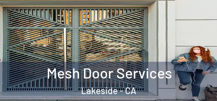  Mesh Door Services Lakeside - CA